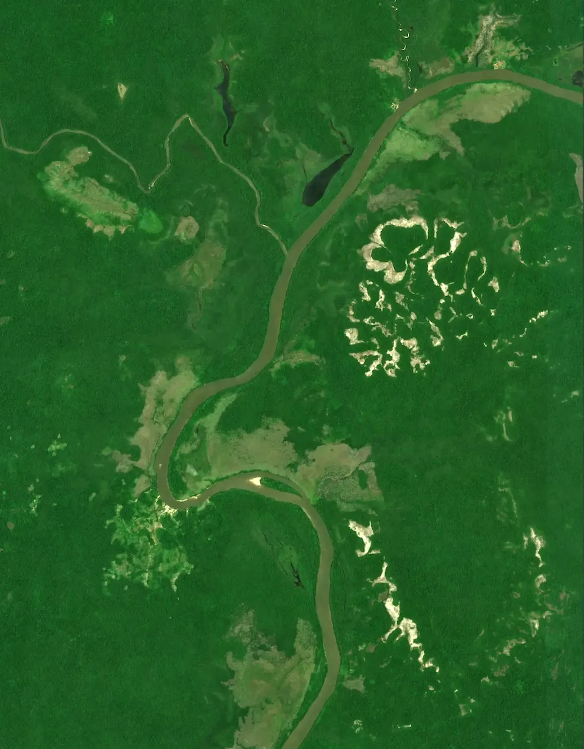 Imagen satelital en color natural del río Ventuari, de aguas pardas, que serpentea de arriba abajo entre la selva, con afluentes, lagunas y manchas claras de arena y sabana.