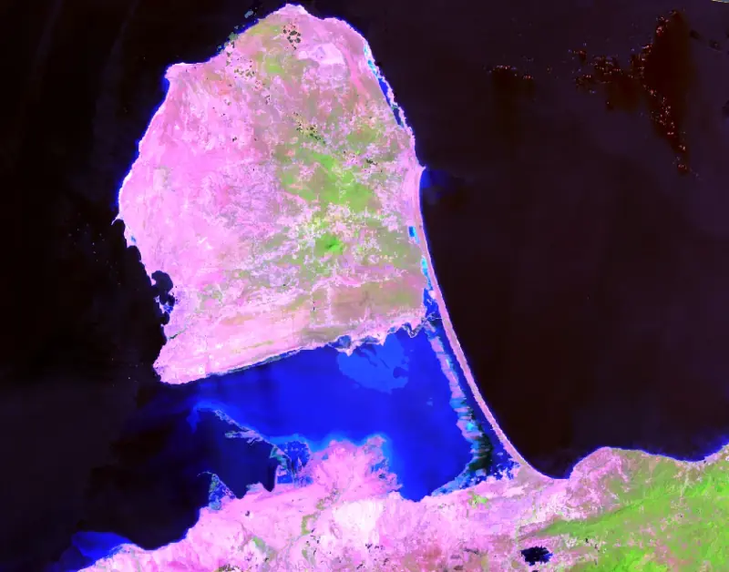 Mosaico Landsat en falso color de una península: suelo en tonos rosados, vegetación en verde y agua en azul.