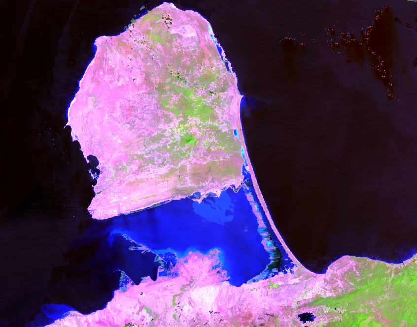 Mosaico Landsat en falso color de la península de Paraguaná, en Falcón: suelo desnudo en tonos rosados, vegetación en verde y agua en azul y negro.