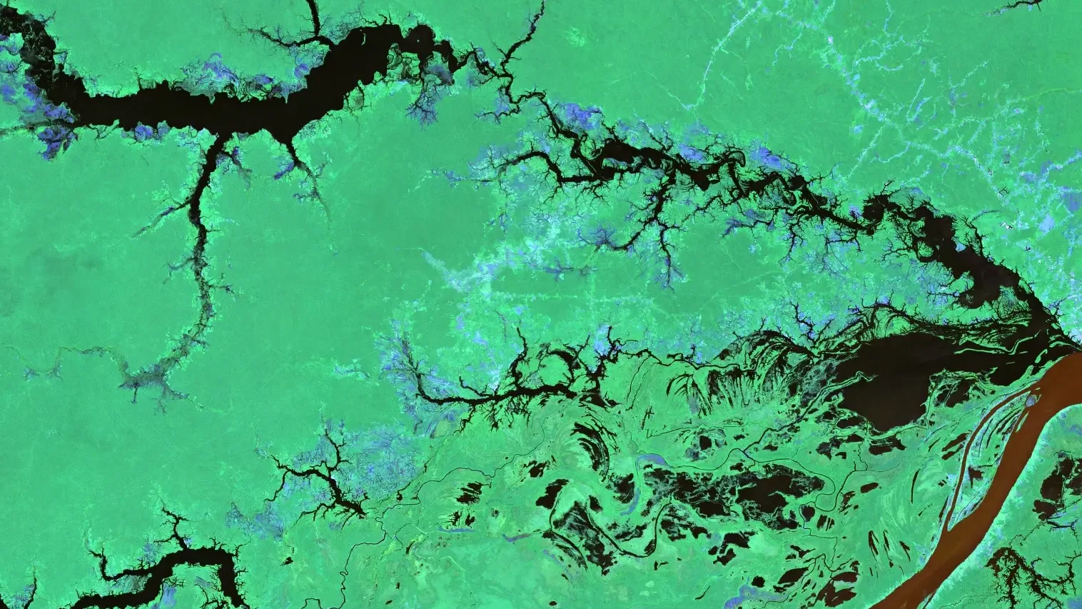 Imagen satelital en falso color de un río con sus lagunas y canales: el agua en tonos oscuros sobre vegetación verde.