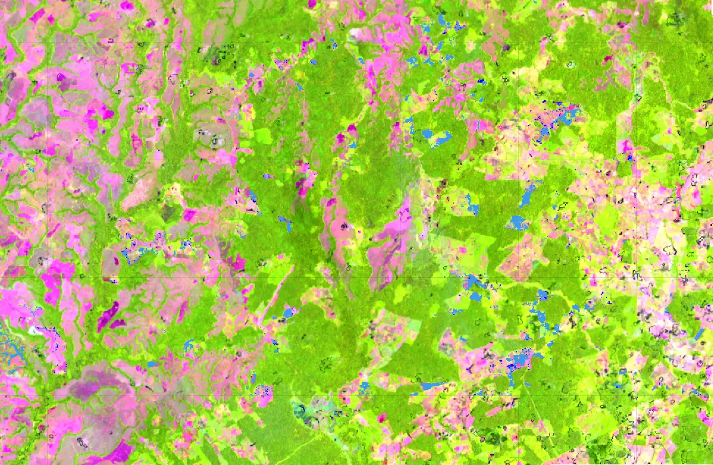 Alertas GLAD de 2026 en San Vicente del Caguán (Caquetá) sobre la última observación de Landsat en falso color SWIR1, NIR y rojo: el bosque en verde, los pastos y el suelo desnudo en rosa, las alertas confirmadas en azul claro y las probables en azul oscuro. Los contornos negros finos son restos de la máscara de nubes y sombras.