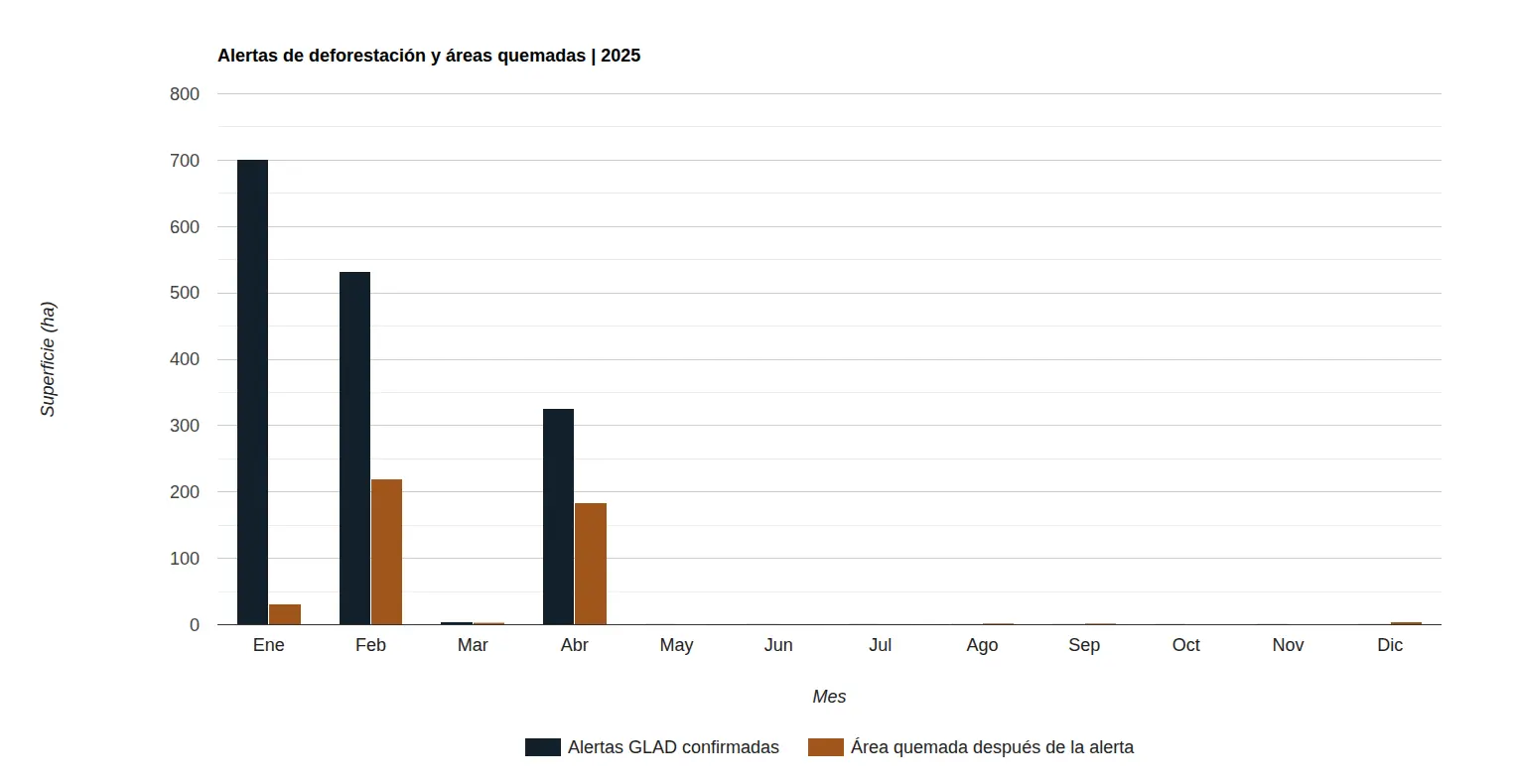 Gráfico de barras de Earth Engine para San Vicente del Caguán en 2025: alertas GLAD confirmadas (barras oscuras) de unas 700 ha en enero, 530 en febrero y 325 en abril; área quemada después de la alerta (barras ocres) de unas 30 ha en enero, 220 en febrero y 185 en abril; marzo y los meses de mayo a diciembre casi vacíos.