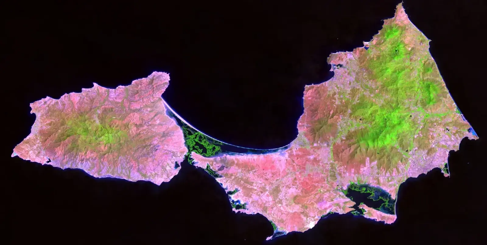 Mosaico Landsat sin nubes de la isla de Margarita en falso color SWIR1, NIR y rojo: el suelo seco en rosado, la vegetación de los cerros y los manglares de La Restinga en verde, y el mar en negro.