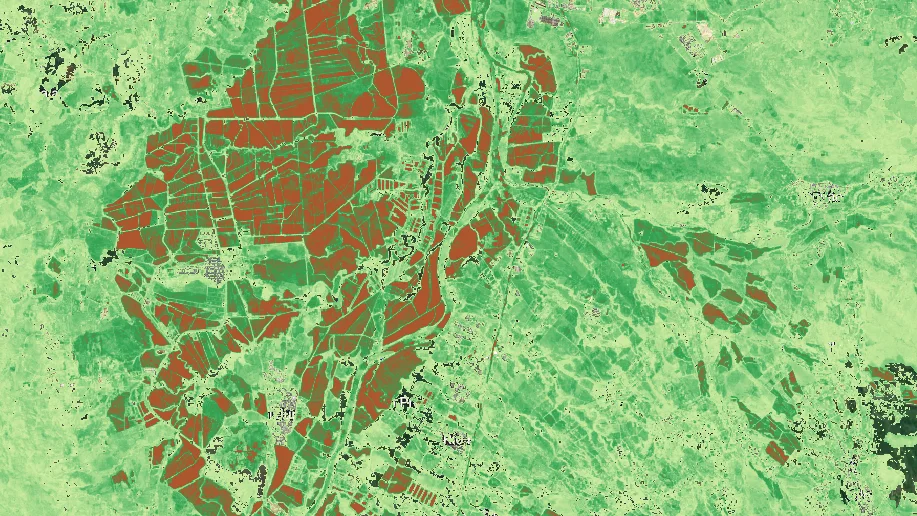 NDVI de la zona agrícola al sur de Neiva, Huila: parcelas en rojo con NDVI bajo entre vegetación en tonos de verde.