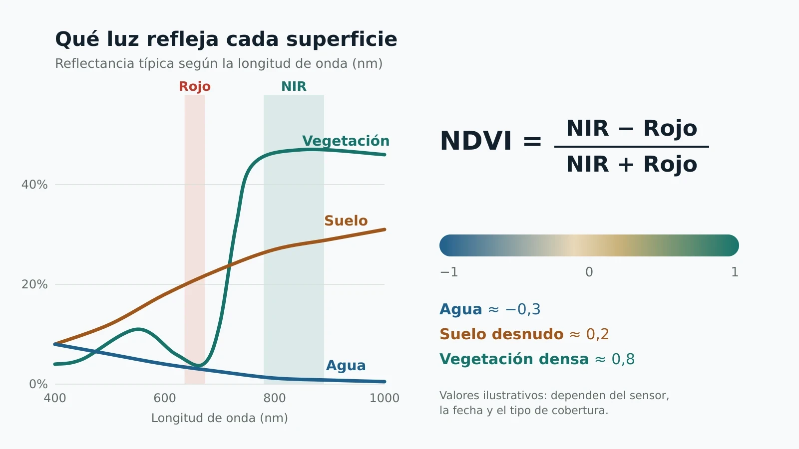 Curvas de reflectancia de vegetación, suelo y agua con las bandas roja e infrarroja marcadas, la fórmula del NDVI y su escala de −1 a 1.